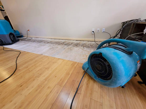 Professional Structural Drying technician working in Santa Barbara, CA